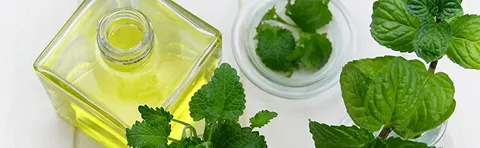 تصویر 1 از راهنمای خرید عرق نعنا صادراتی + قیمت عالی
